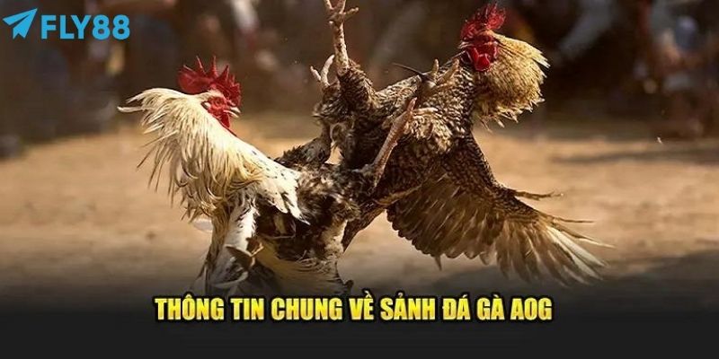 Tận dụng ưu đãi để có thể cược lâu dài hơn